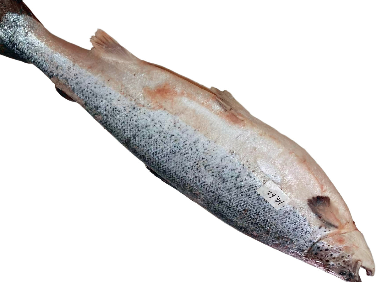 14.62 lb 原條牛肉