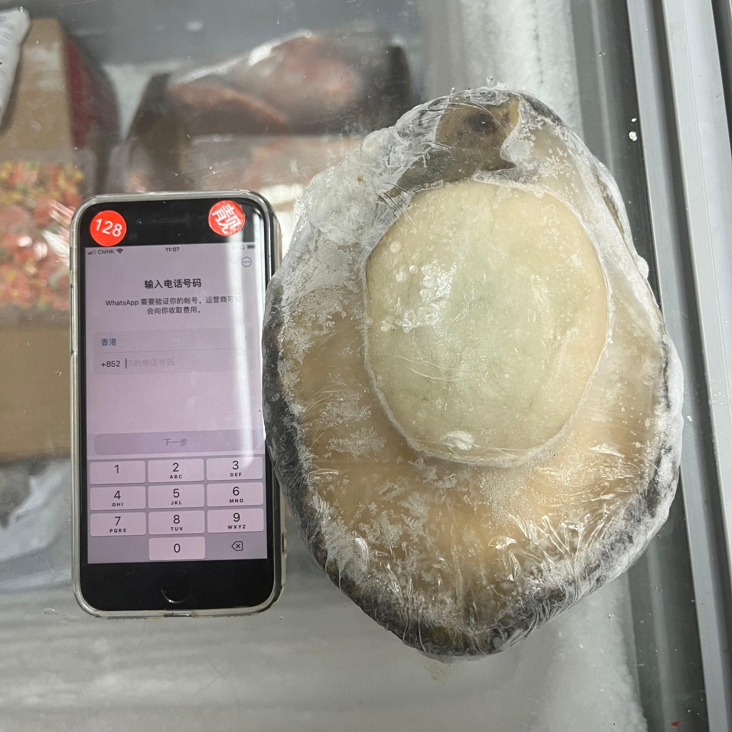 Giant South African Abalone