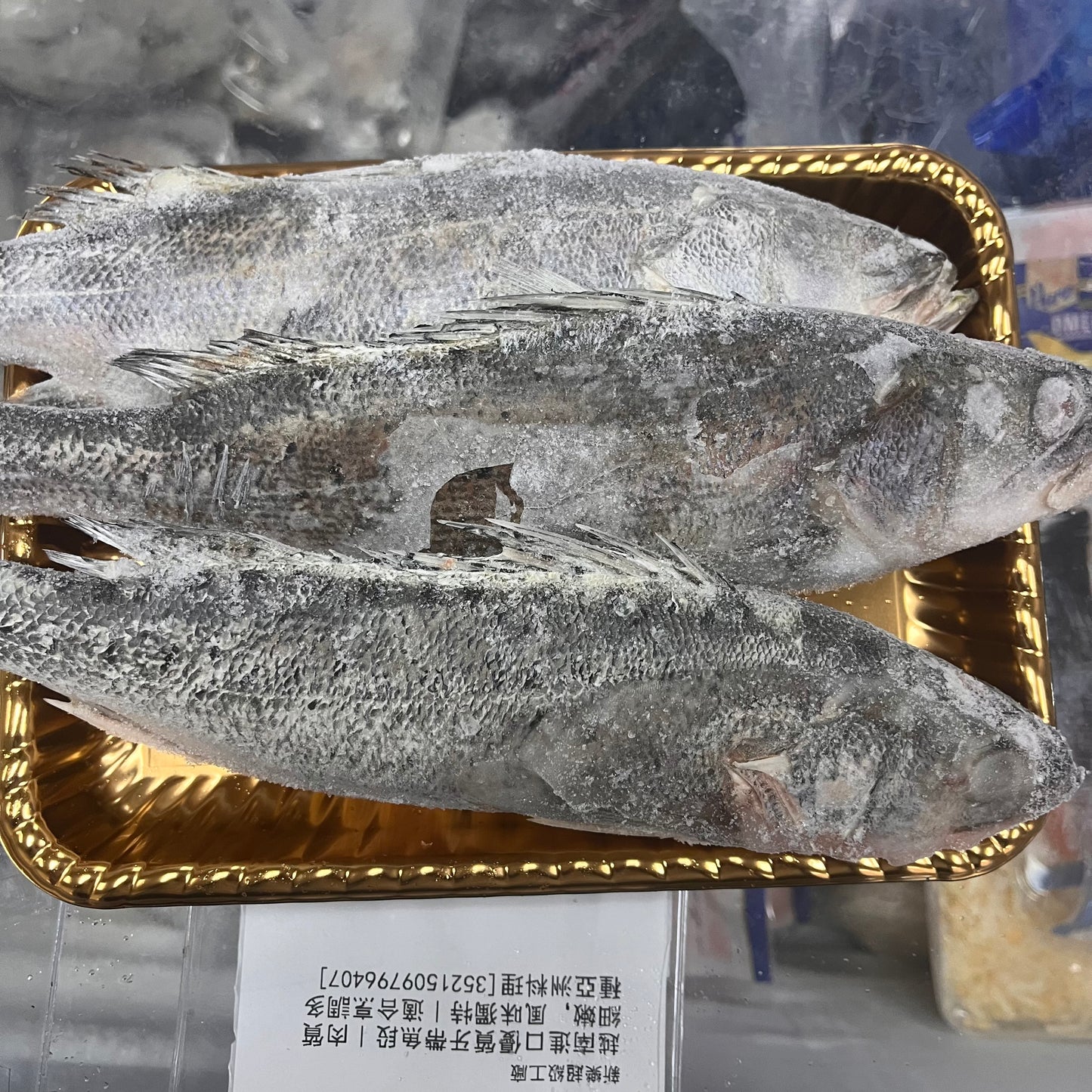 「超特價」越南鱸魚皇(3條)|合適清蒸|口感好