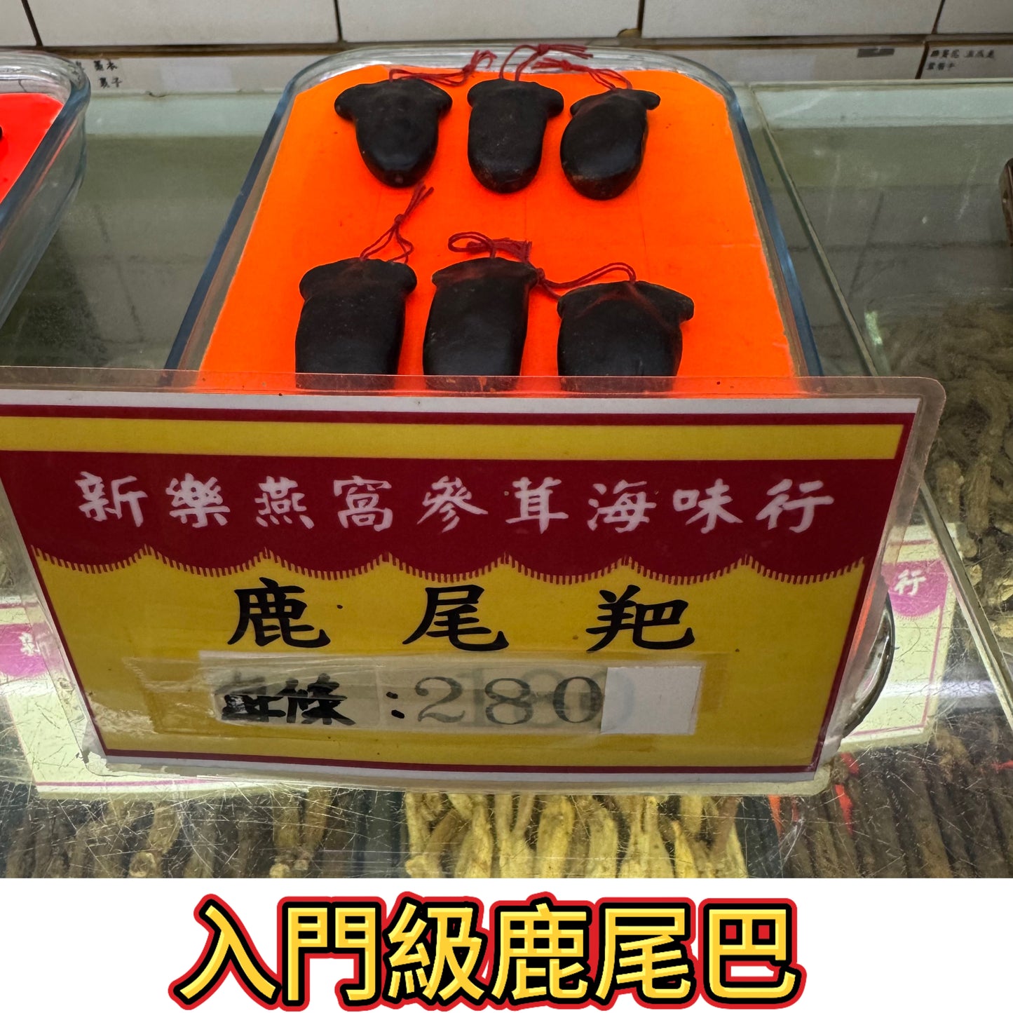 入門級鹿尾羓|實惠補身入門之選|傳統滋補鹿尾膏