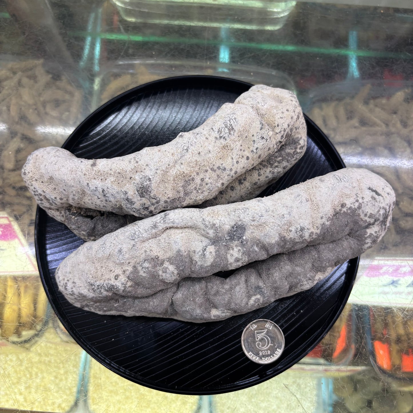 1–2 頭豬婆參|頂級大條海味|高級燉煮食材|巨型規格|一斤約1-2頭