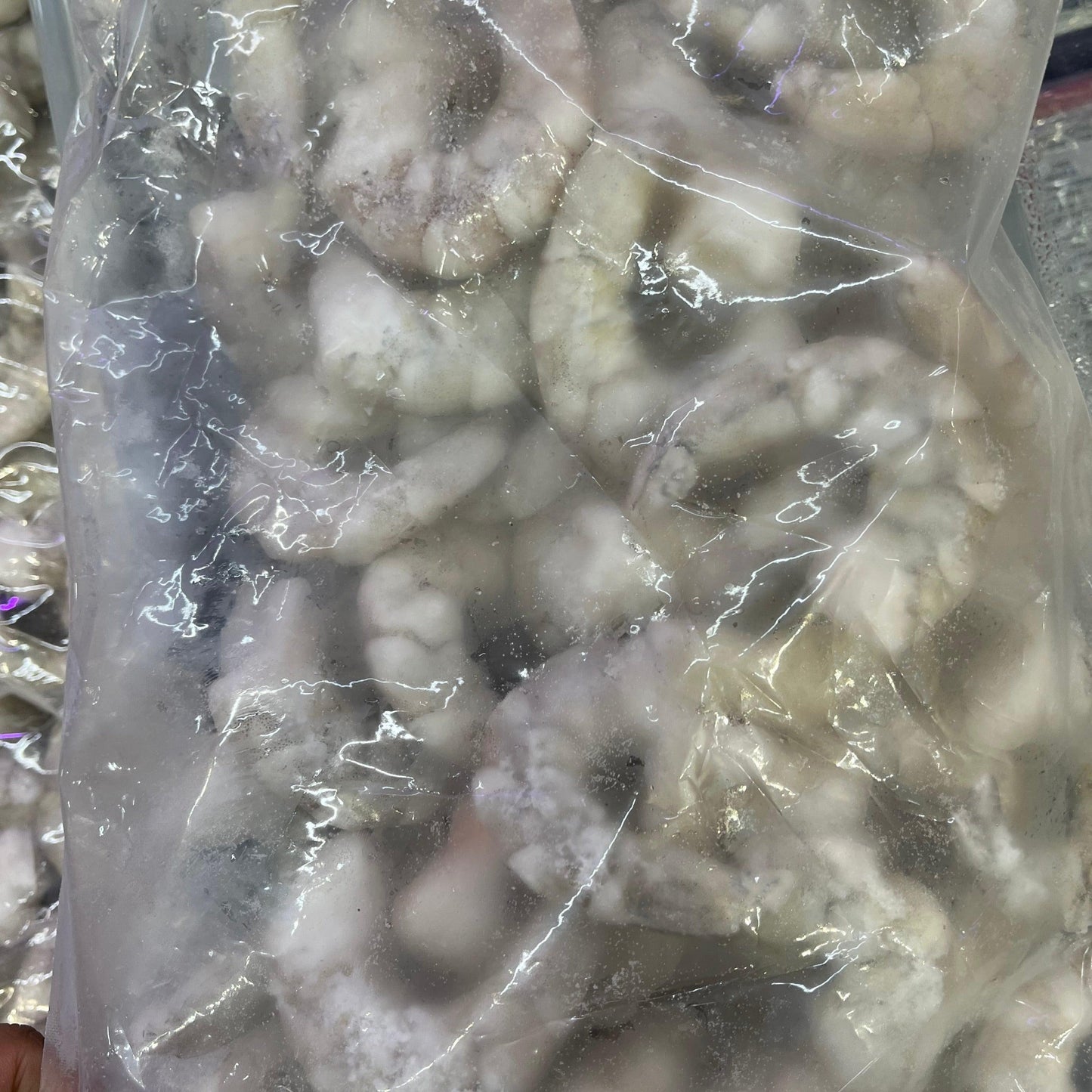 越南🇻🇳特級白蝦仁1kg|純天然捕撈|高蛋白低脂肪|肉質鮮嫩|無添加劑|適合煎、炒、燉、燒烤等多種烹飪方式|冷凍新鮮加工|健康美味選擇 - 新樂大型批發OUTLET