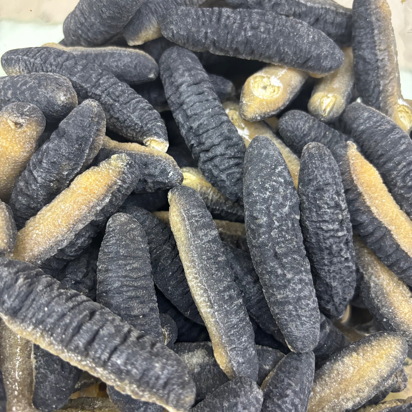 28–30 隻特級斯里蘭卡禿參|溫補滋養頂級參類|煲湯食材|600g|一斤約28-30隻