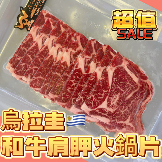 「新產品」烏拉圭🇺🇾和牛M4/5 肩胛火鍋片|完美雪花|150g