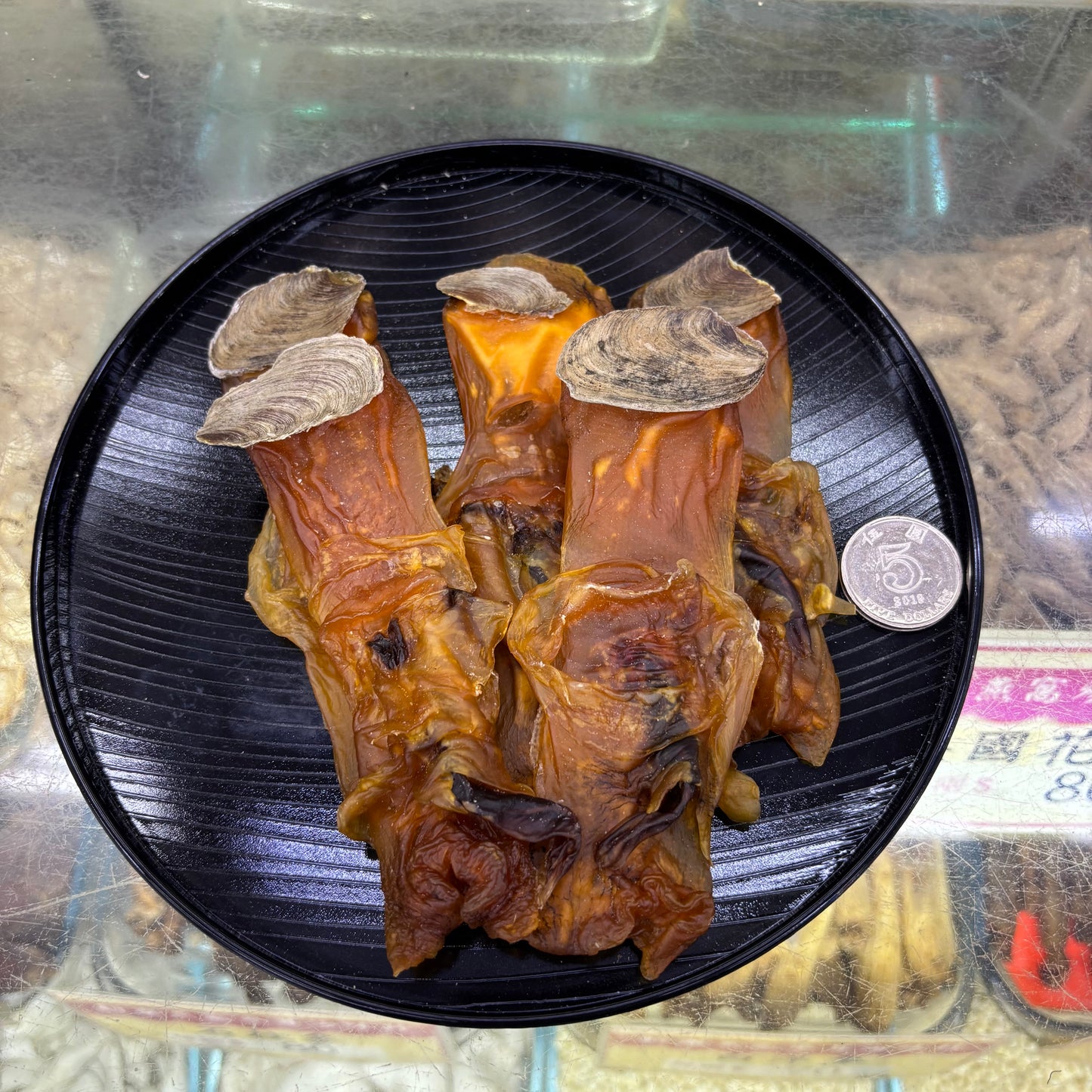 美國大西洋生晒響螺頭 XL|特大厚片|頂級湯材