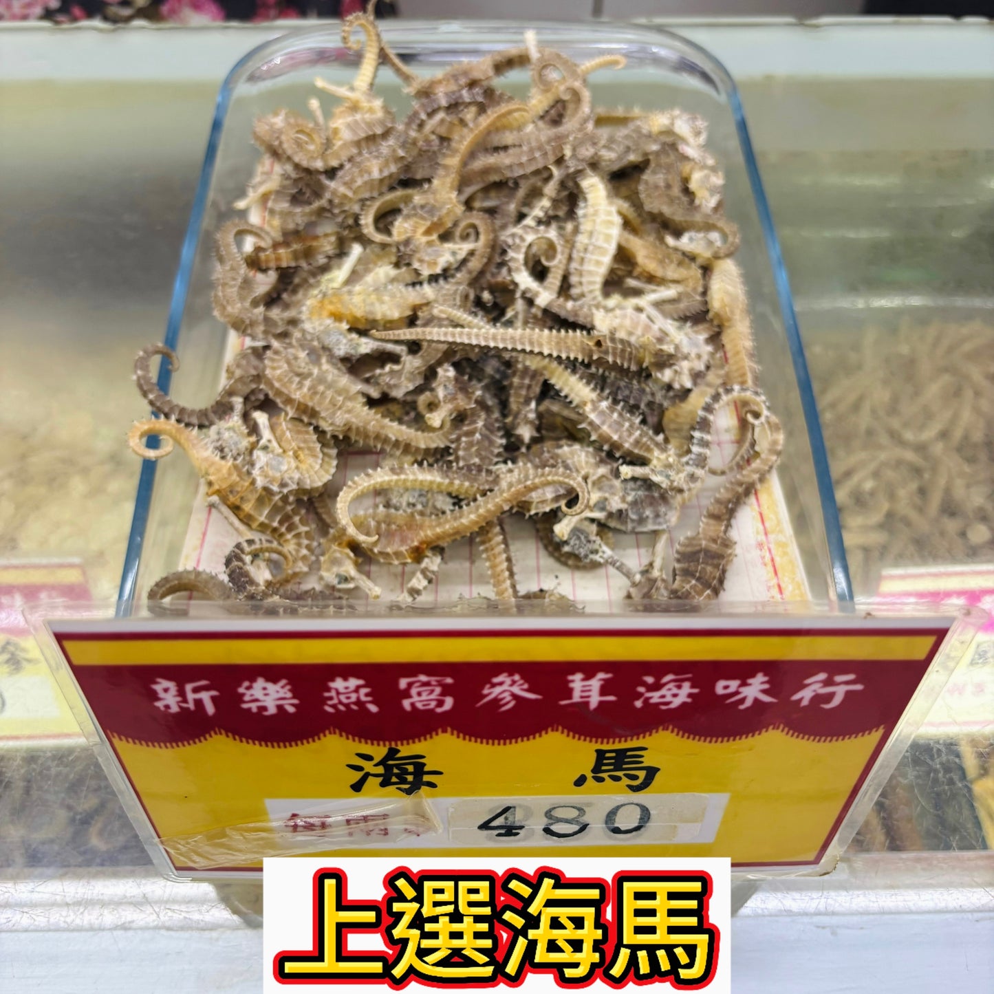 上選海馬|特選乾海馬|燉湯泡酒養生海味