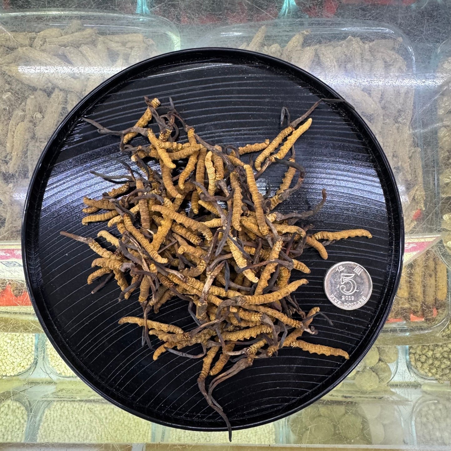 極品龍頭大草 冬蟲夏草｜頂級養生蟲草干品｜泡茶燉湯