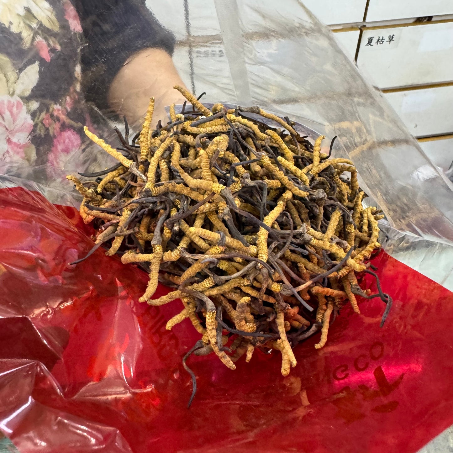 上選龍頭大草 冬蟲夏草｜頂級養生蟲草干品｜泡茶燉湯