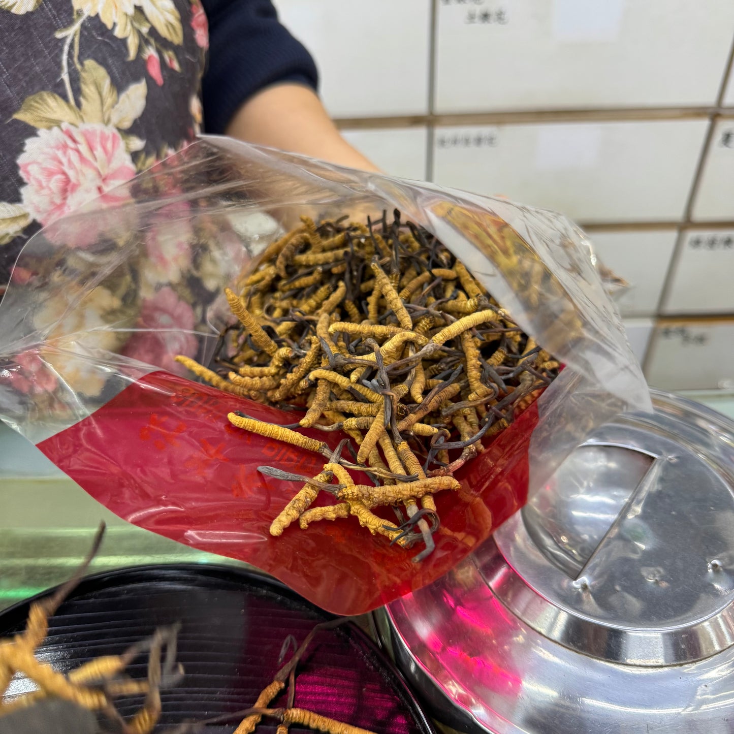 極品龍頭大草 冬蟲夏草｜頂級養生蟲草干品｜泡茶燉湯