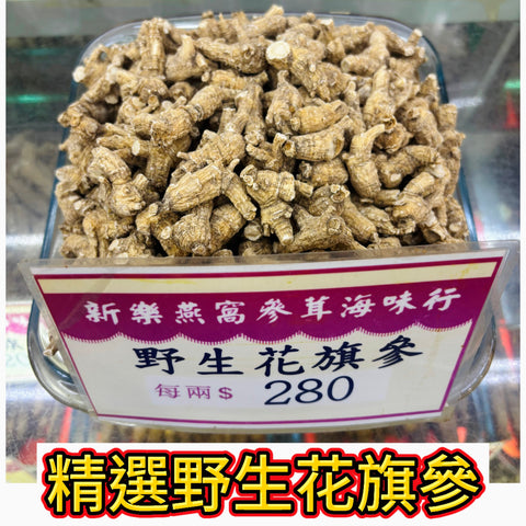 精選野生花旗參｜自然山參香氣｜入門級野生參