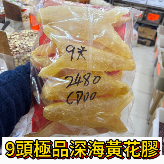9頭珍品深海黃花膠｜大件厚身至尊級｜每袋600g｜高端滋補宴客首選｜每斤約9頭