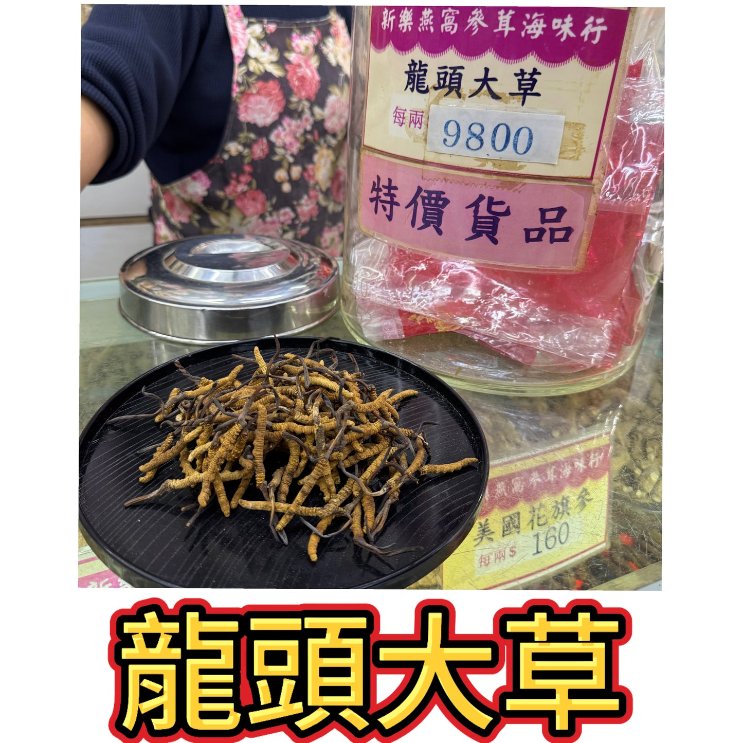 極品龍頭大草 冬蟲夏草｜頂級養生蟲草干品｜泡茶燉湯