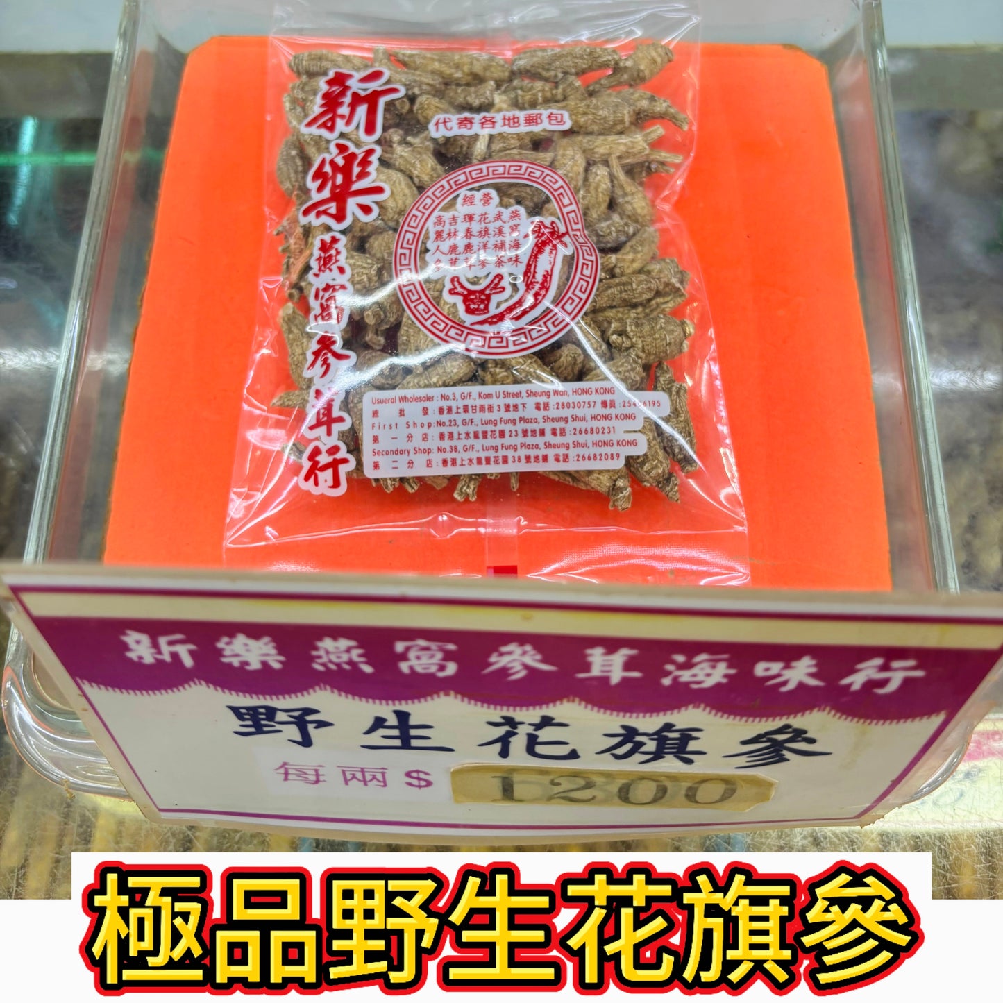 極品野生花旗參｜深山珍品｜頂級修復滋補力｜一兩