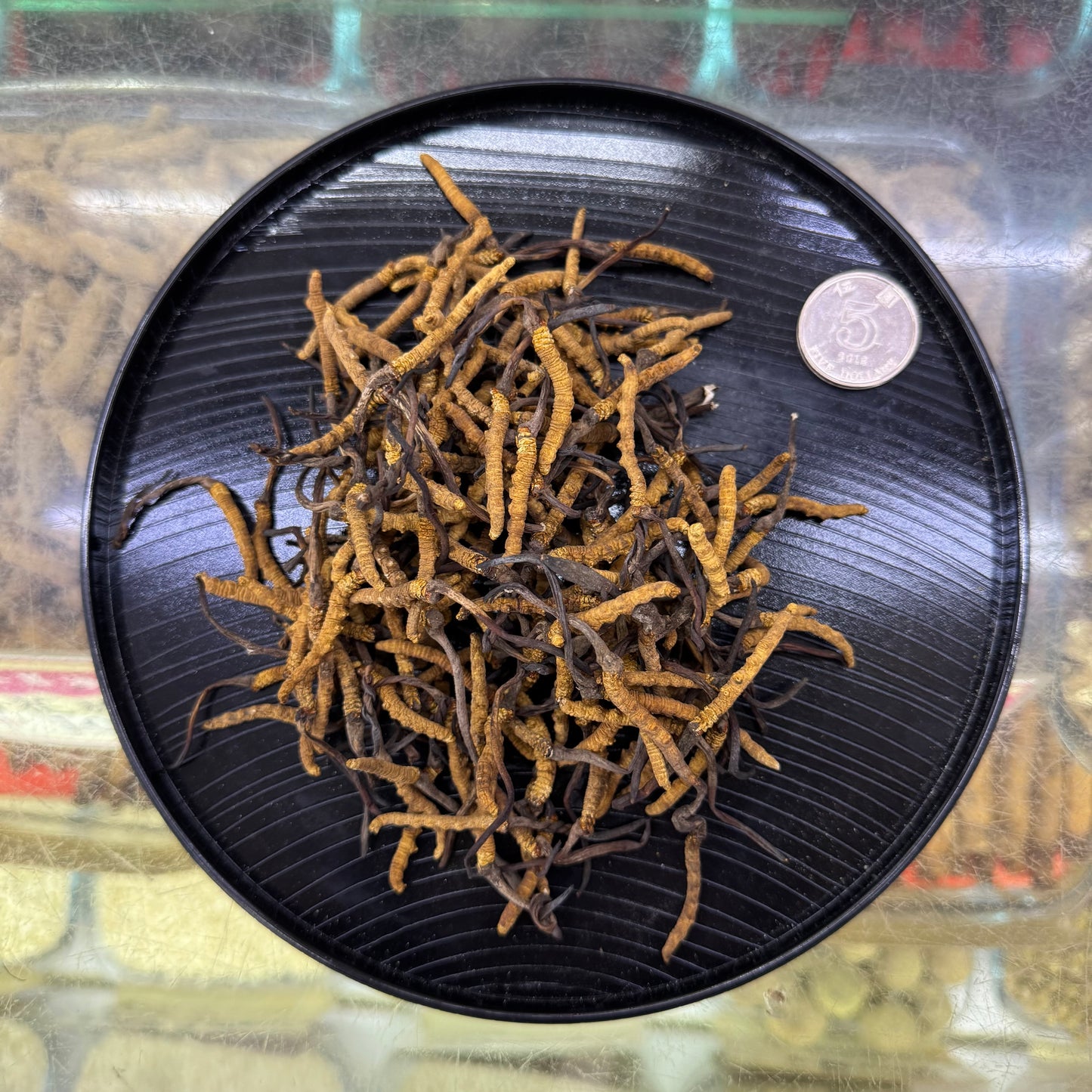 上選龍頭大草 冬蟲夏草｜頂級養生蟲草干品｜泡茶燉湯