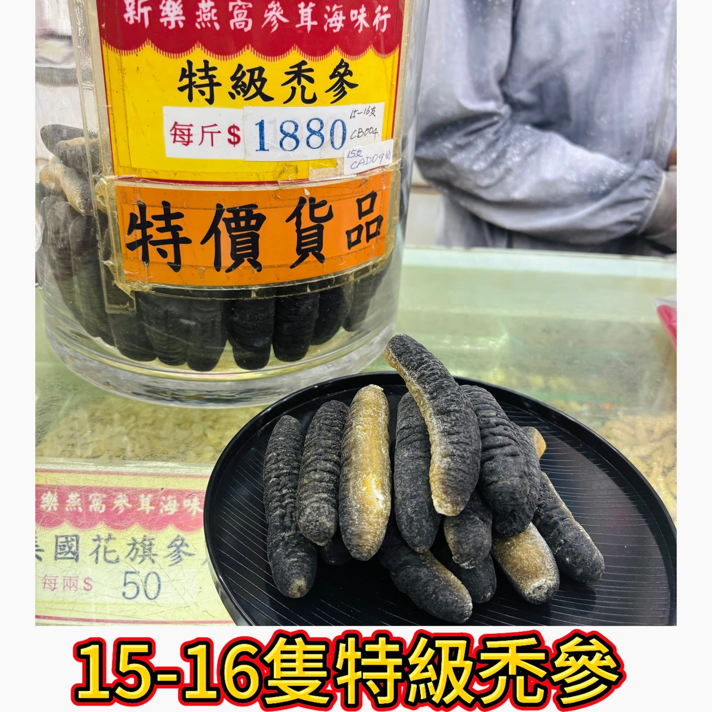 15–16 隻特級禿參｜高品質燉湯參｜滋補養生參類｜600g｜一斤約15-16隻