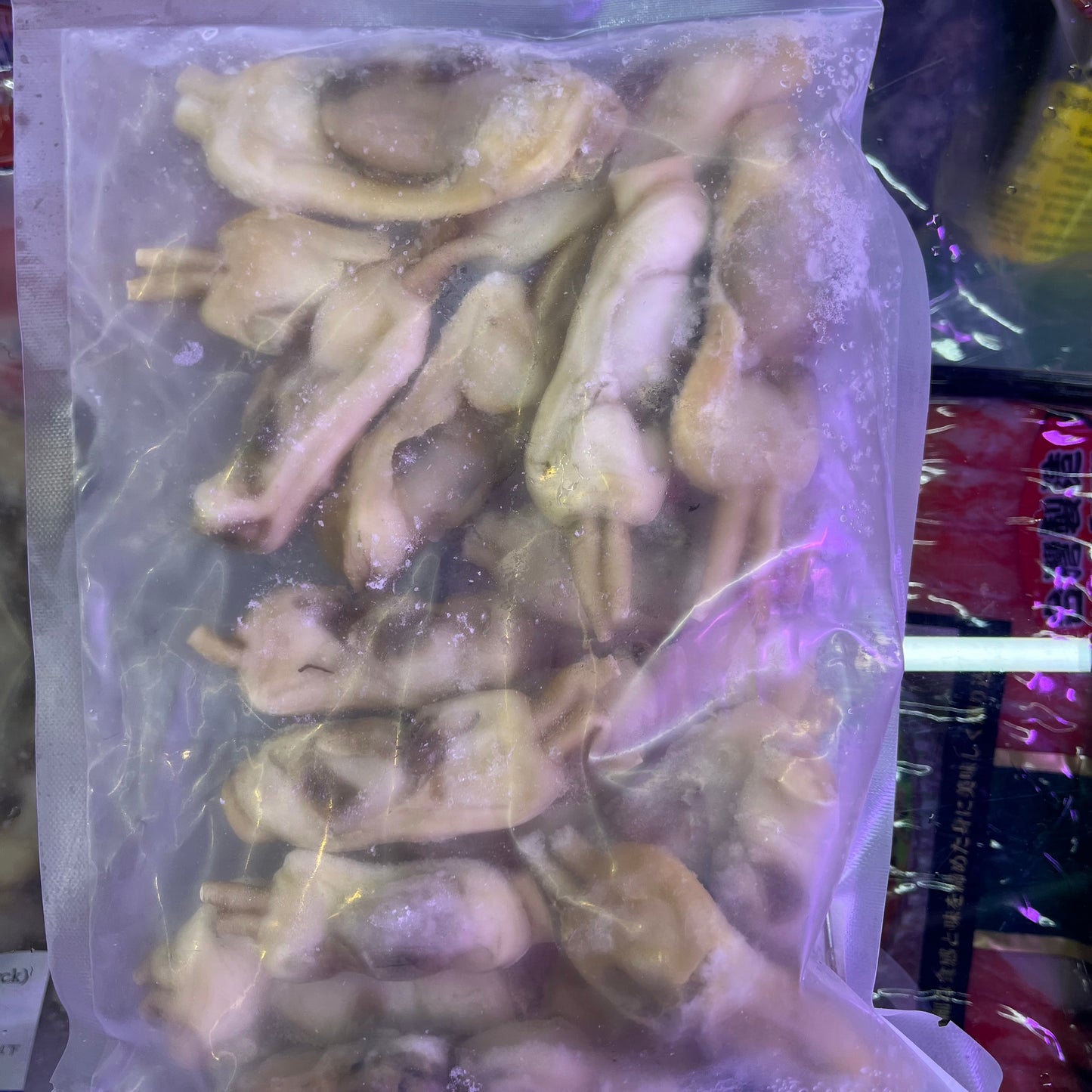 越南🇻🇳純天然蟶子肉250克｜新鮮捕撈｜高蛋白低脂肪｜肉質鮮嫩｜無添加劑｜適合煎、炒、燉、燒烤等多種烹飪方式｜冷凍新鮮加工｜健康飲食選擇 - 新樂大型批發OUTLET