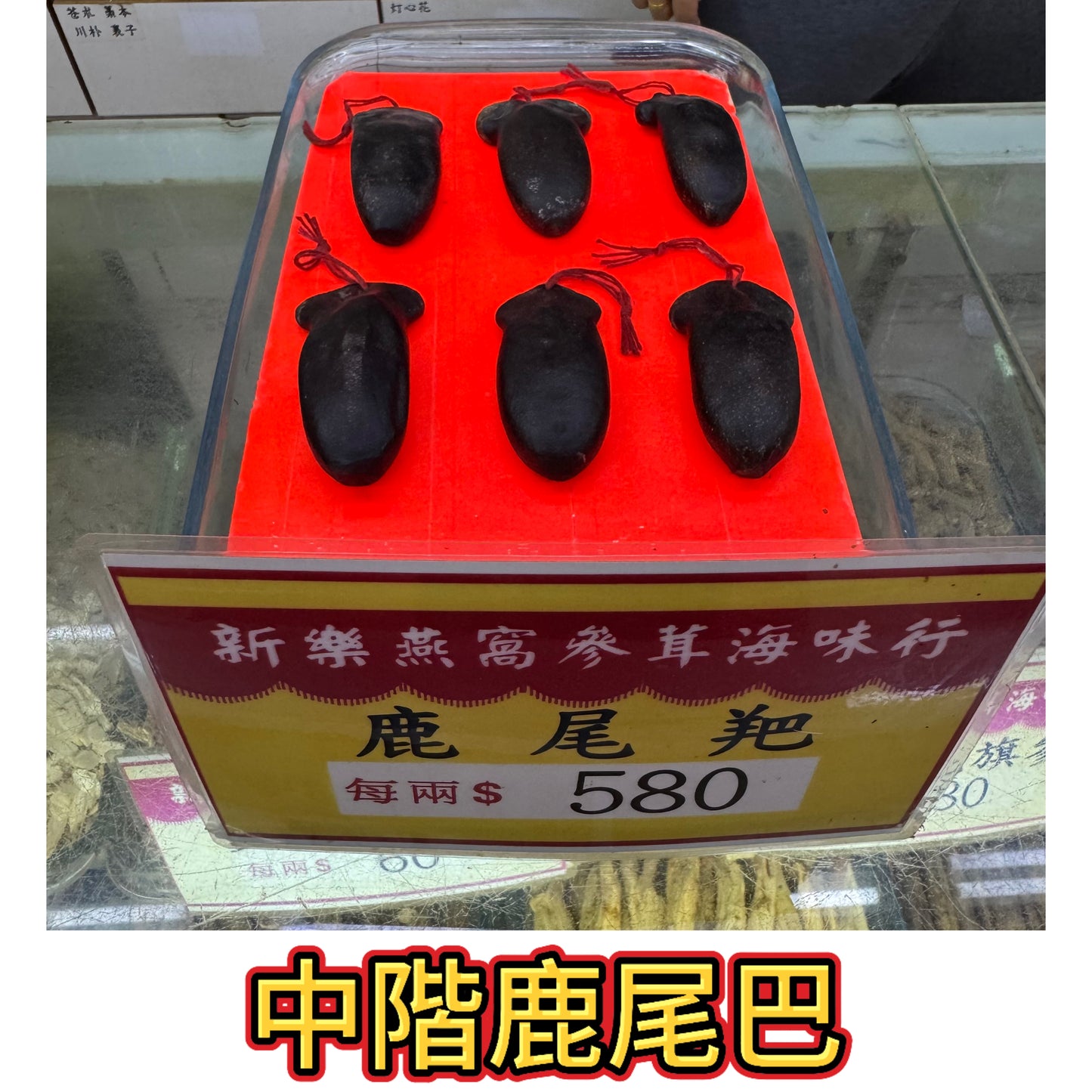 中階鹿尾羓｜飽滿厚身｜高CP滋補鹿尾膏