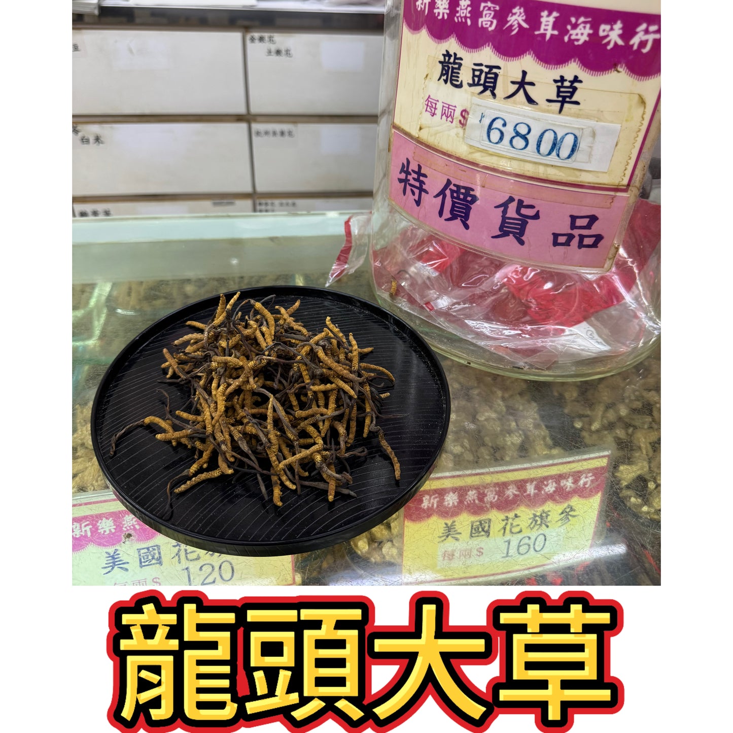 上選龍頭大草 冬蟲夏草｜頂級養生蟲草干品｜泡茶燉湯