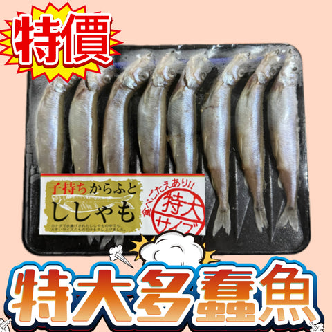 「新產品特價」特大多春魚8條裝
