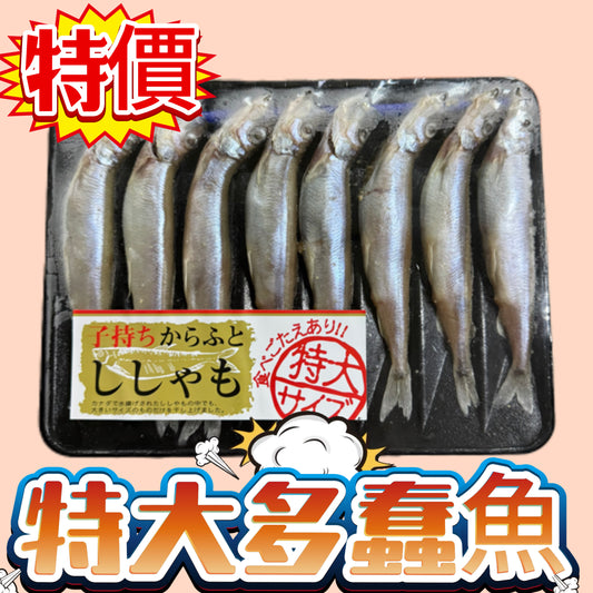 「新產品特價」特大多春魚8條裝