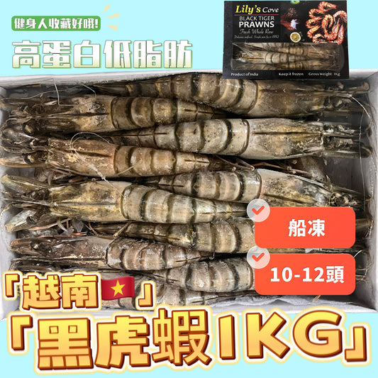 越南🇻🇳黑虎蝦1KG｜10-12頭｜船凍｜無泡藥水純天然｜健康食品高蛋白低脂肪