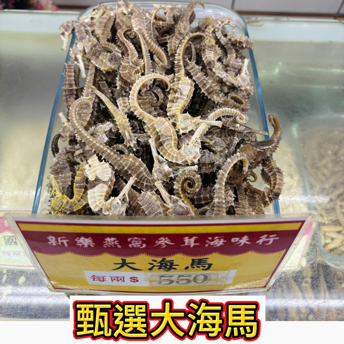 甄選大海馬｜特大乾海馬｜高級燉湯泡酒養生海味