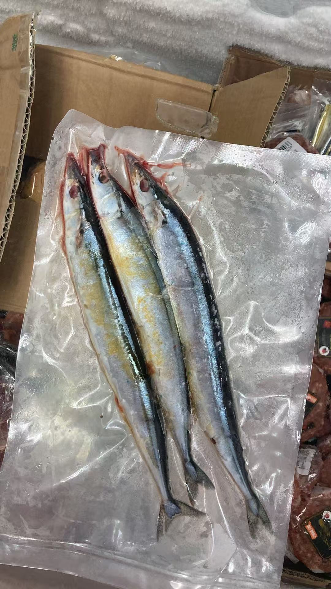 原條秋刀魚｜急凍海鮮｜肉質細嫩・魚味香濃｜鹽燒／香煎／氣炸／炭燒